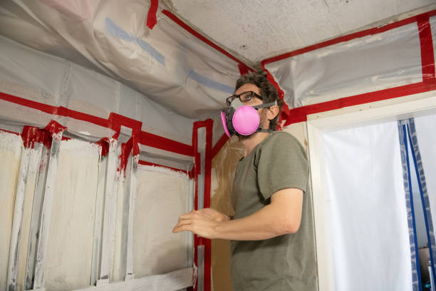 Best Mold-Related Health Consultation  in Montpelier, IN