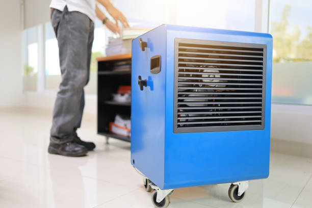 Best Mold Prevention Services  in Montpelier, IN