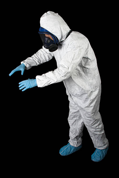Best Mold Damage Restoration  in Montpelier, IN