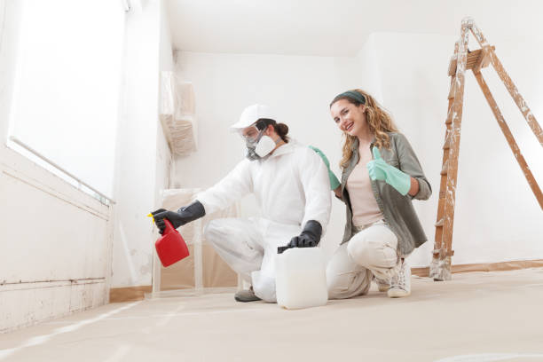Best Indoor Air Quality Assessment  in Montpelier, IN